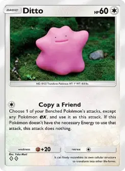 Ditto